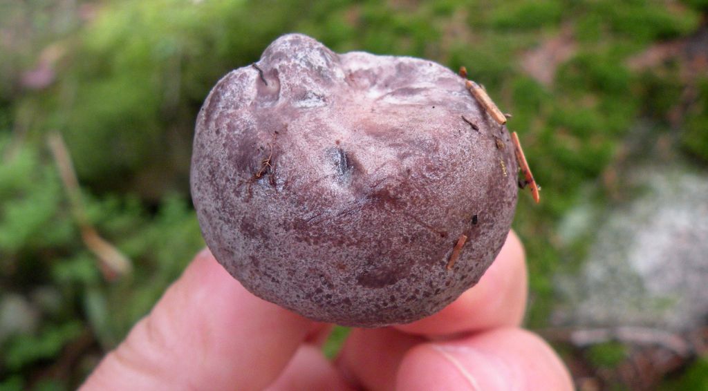 Se c''� la goccia....